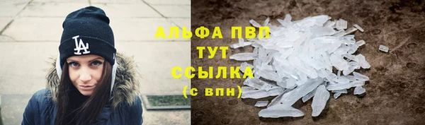 гидра Елизово