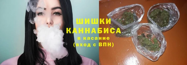 гидра Елизово