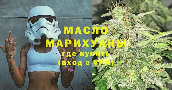 гидра Елизово