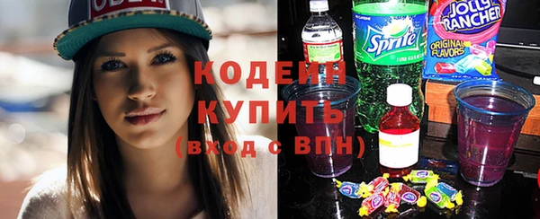гидра Елизово