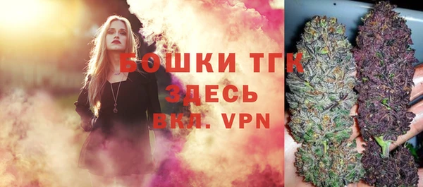 гидра Елизово