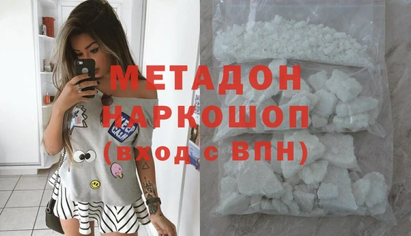 гидра Елизово