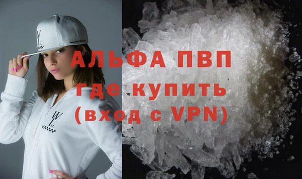 гидра Елизово
