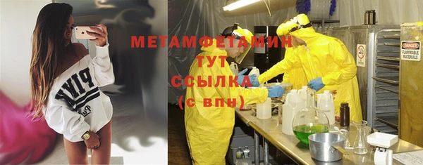 гидра Елизово